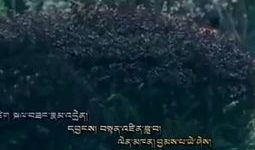 追风短视频,捕捉潮流瞬息，展现青春风采